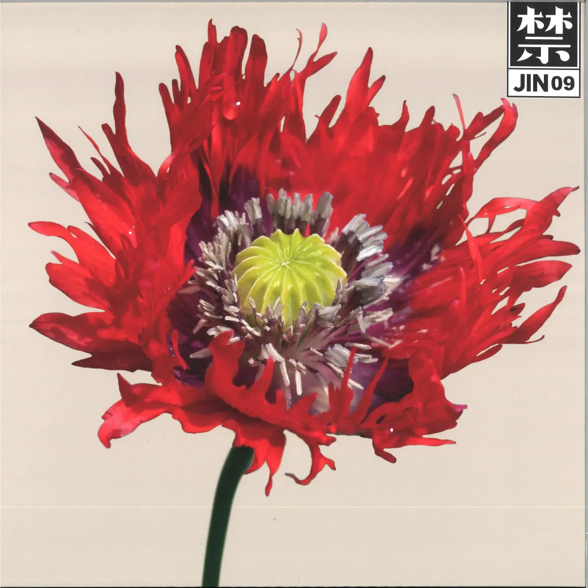 1088728 JIN09 - Image 1