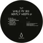 While My 303 Gently Weeps - Image 2