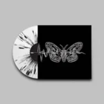 Midnight Ensemble - Image 2