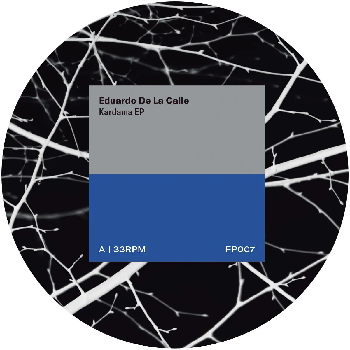 FP007_front Kardama EP - Image 1
