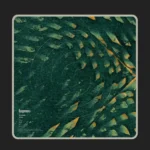 Yatras - Image 2