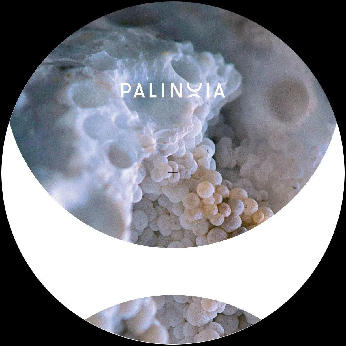 PALINOIA011_front Perpetual Booty Grooves Vol.1 - Image 1