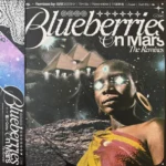 Blueberries On Mars - The Remixes