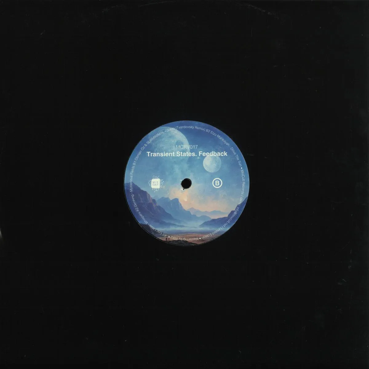back (5) Transient States. Feedback - Image 1
