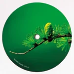 Moonlight Riddims