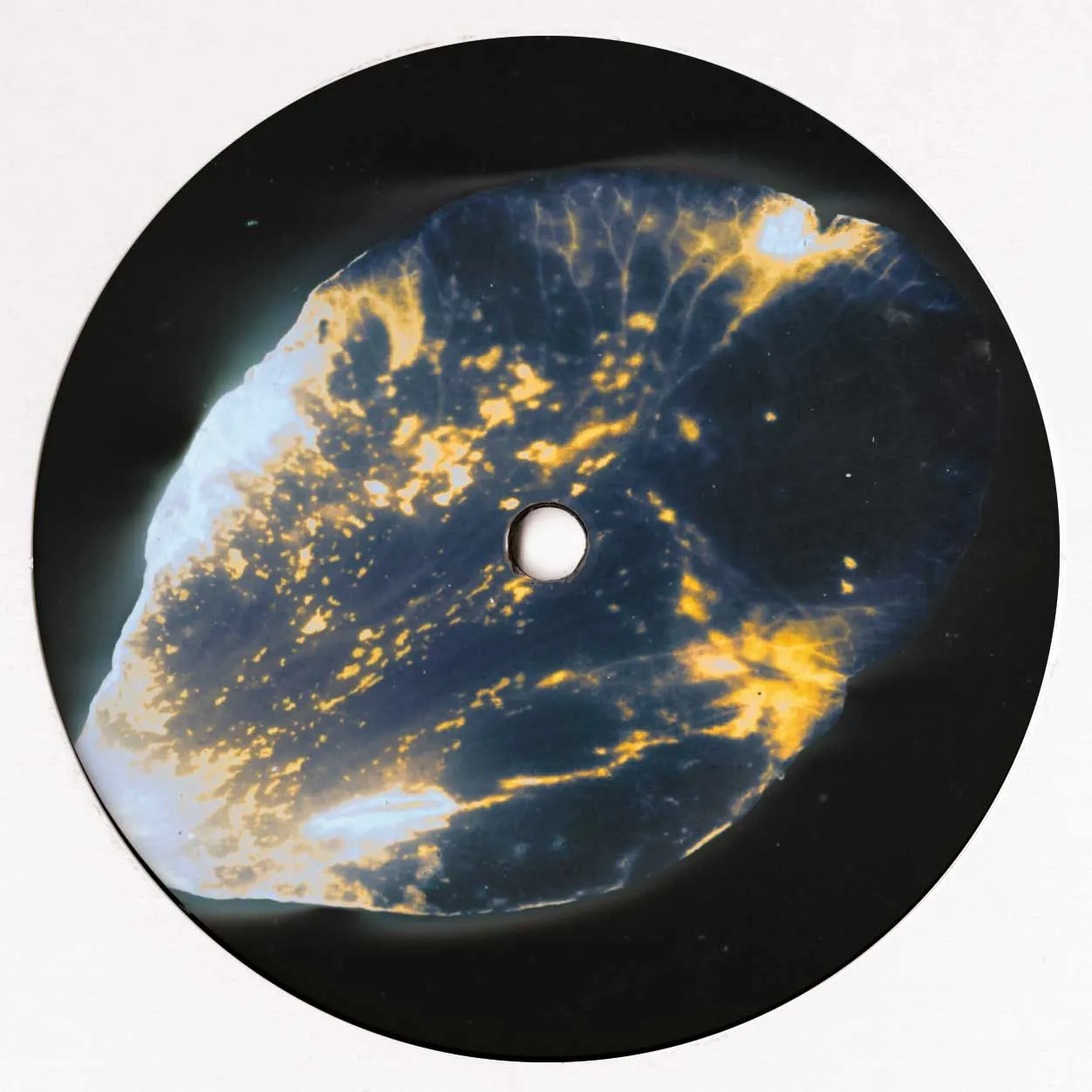 img-LGcFdoIRbg Entangle EP - Image 1