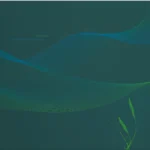 Gently Down The Stream