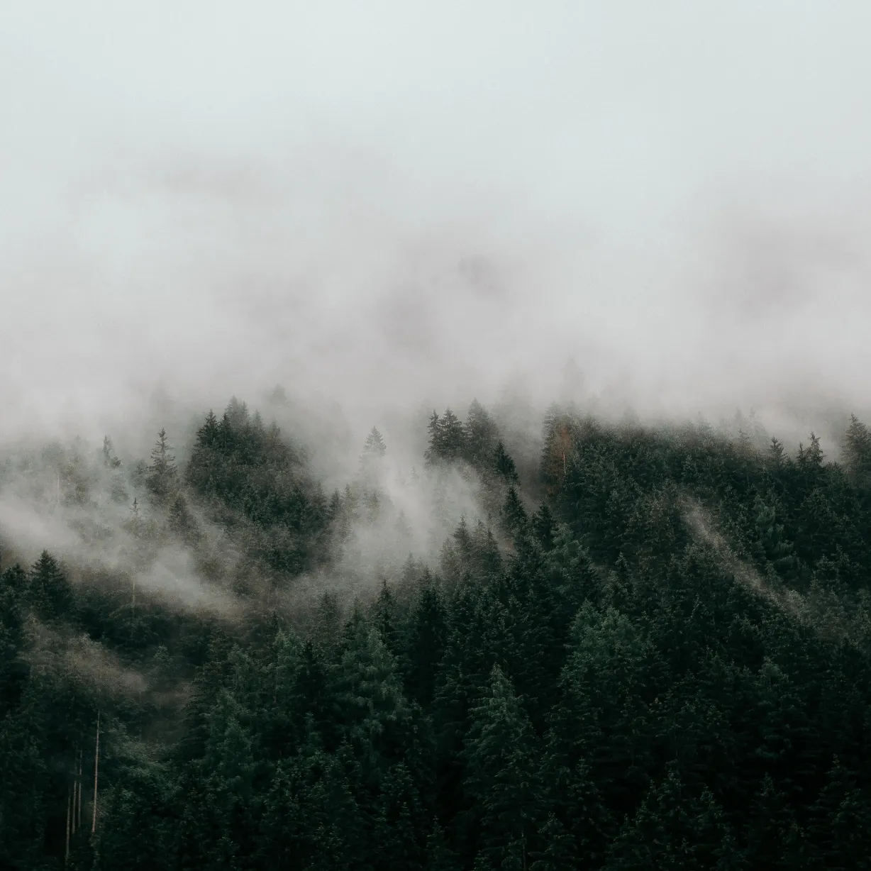 Ambient music