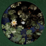 Familiar Feeling - Image 2